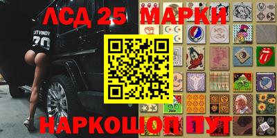 a pvp Камышлов