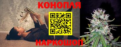 МДПВ Ирбит