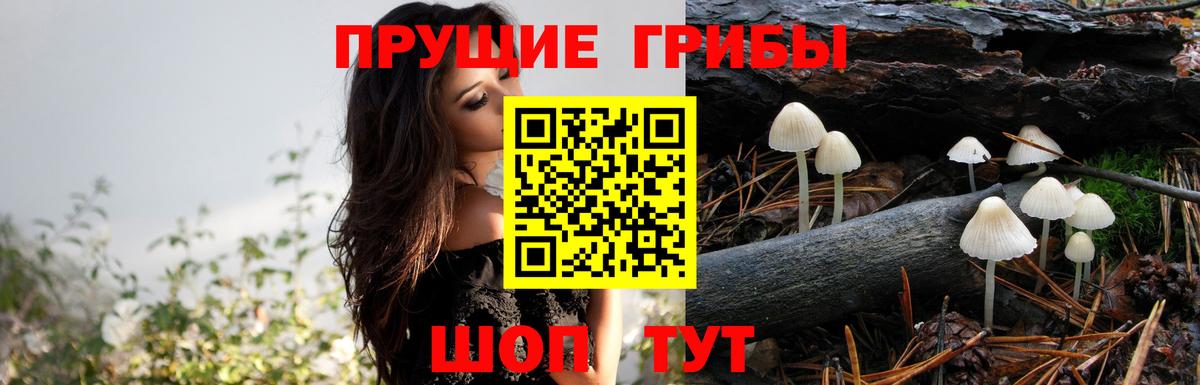 Псилоцибиновые грибы мухоморы Лысьва